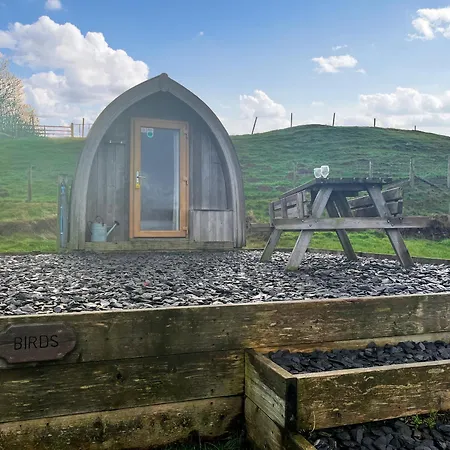 Birds - Uk48489 Dalton in Furness