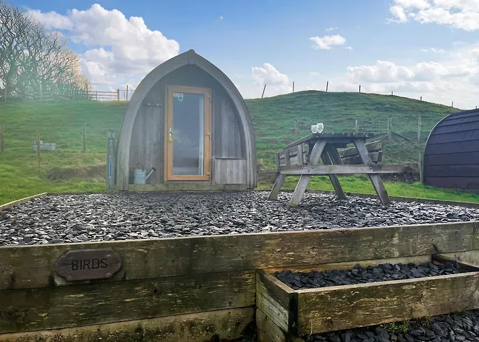 Birds - Uk48489 Dalton in Furness